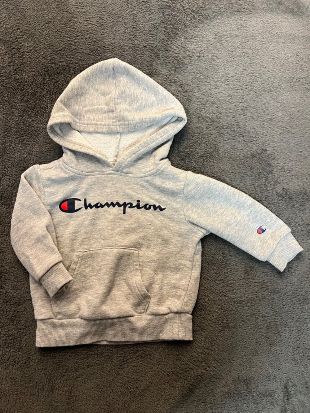 ☆ 3 for $20 ☆ Champion Hoodie (12 Months)